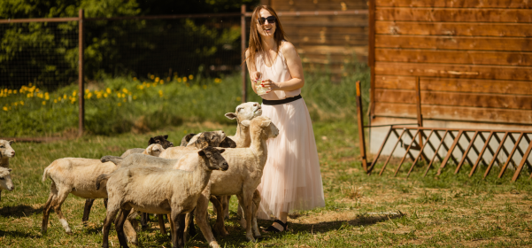Гастротур на Экоферму